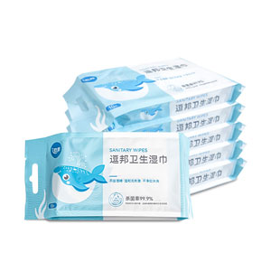 逗邦卫生湿巾（10片）